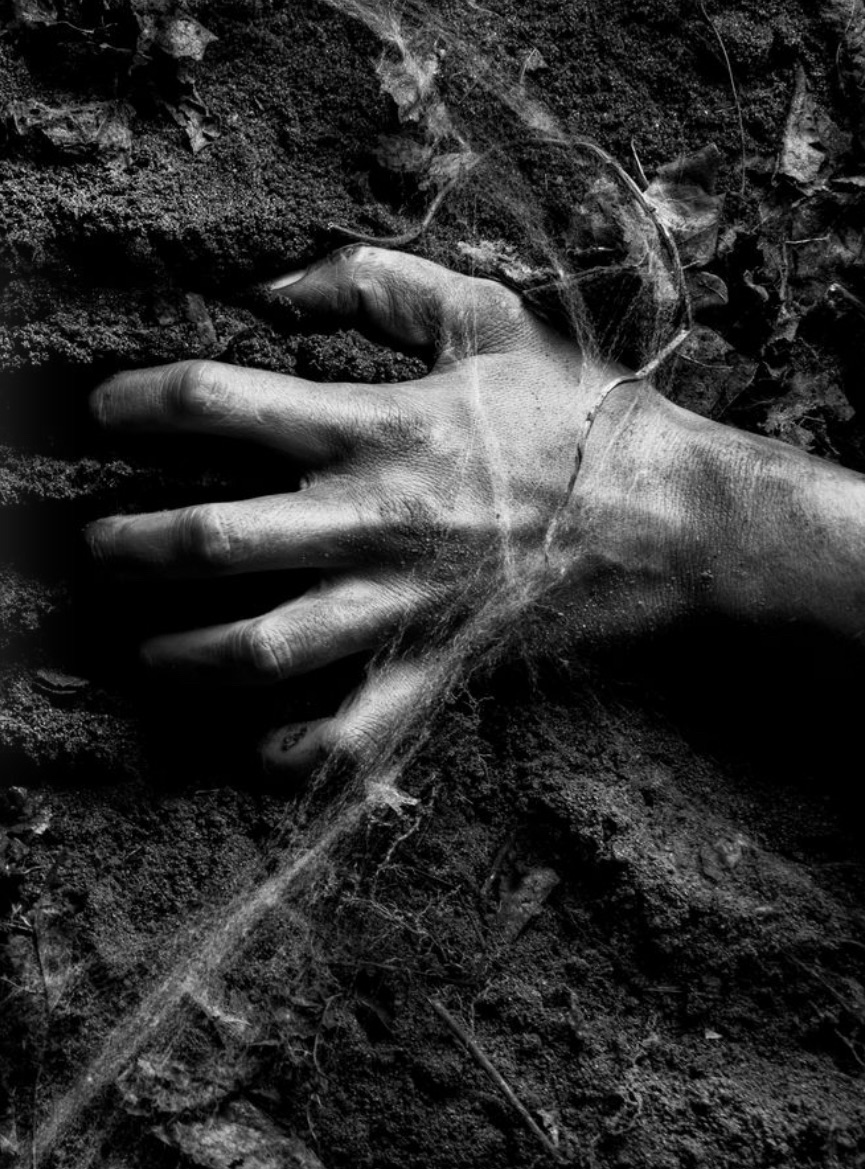 REFLECTIONS IN THE DEEP